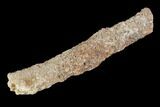 Fulgurite - Petrified Lightning #90354-1